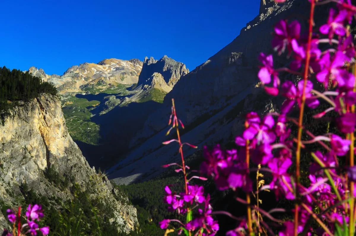 Walking in the Thabor massif.