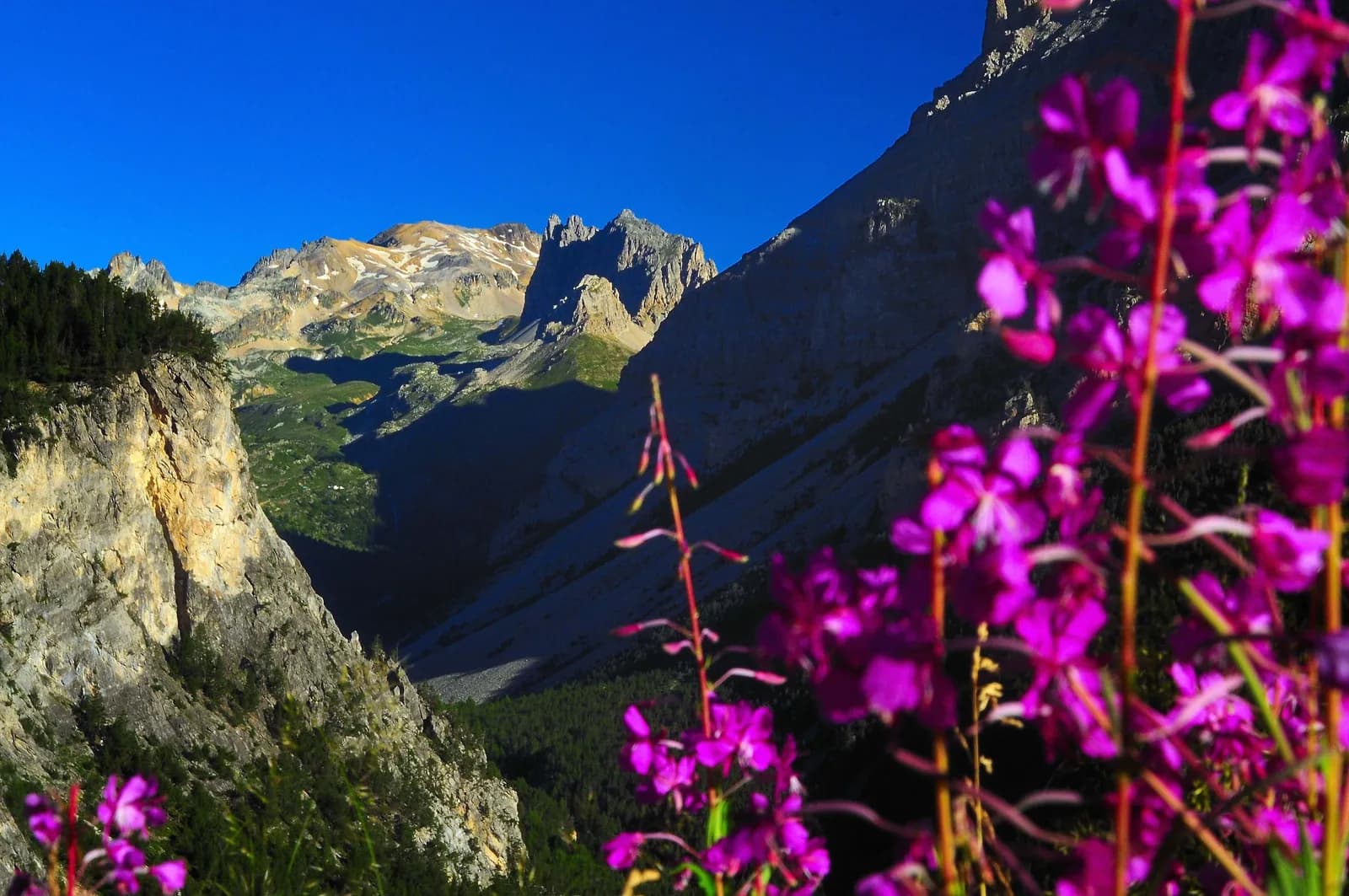 Walking in the Thabor massif.