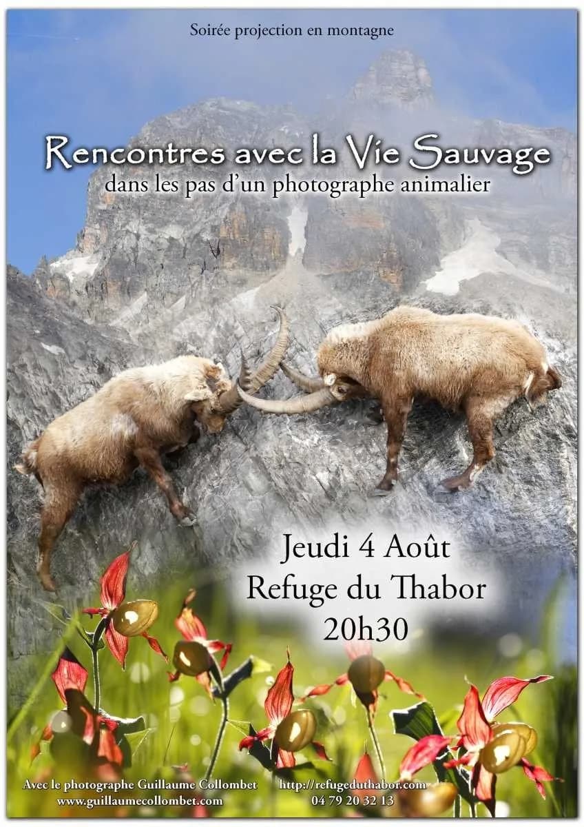 Programme des événements de l'été ! (3/3)