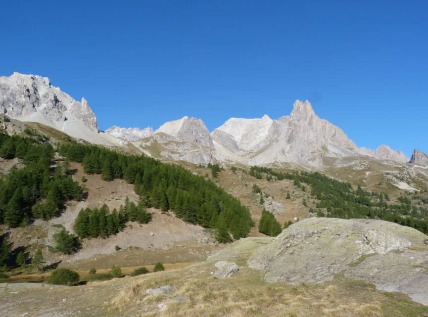 Birdwatching walks in the upper Clarée valley. (1/2)