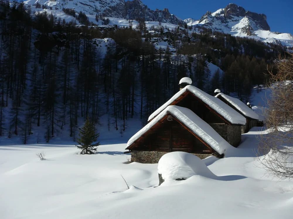 Ski touring and snowshoeing season (1/4)
