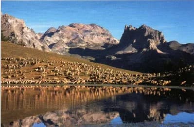 Col des Thures (2194m) — photo 4