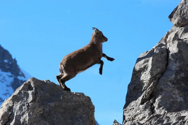 Foto dell'itinerario Col du Chardonnet (2230m)