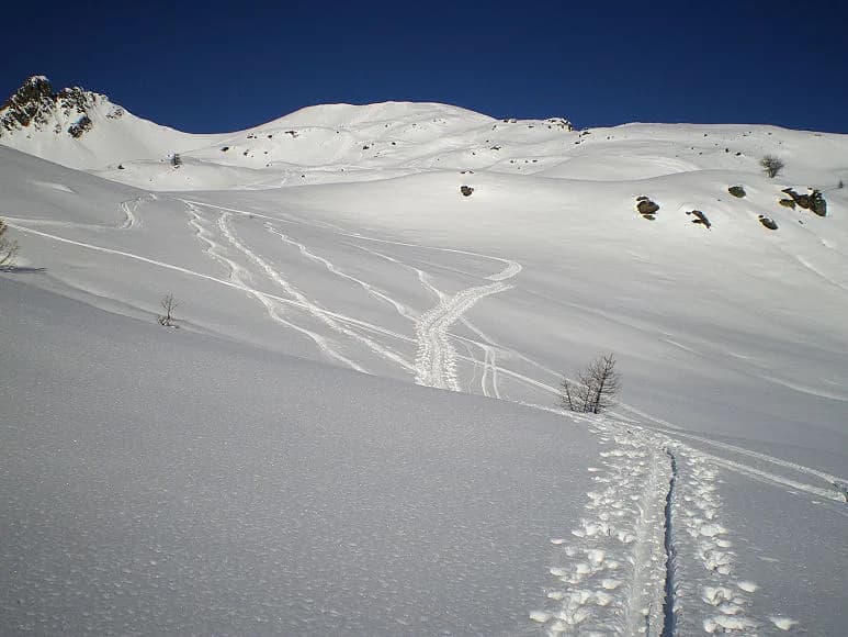 Crête de Baude (2571 m) — photo 1
