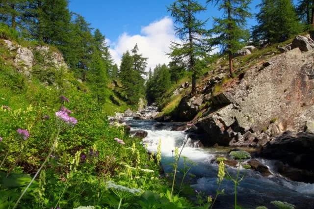De Névache au refuge de Laval par la rive droite de la Clarée — photo 3
