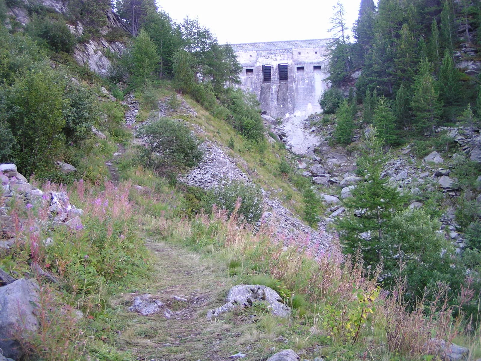 De Valmeinier 1500 al rifugio des Marches attraverso la strada forestale del Prec — foto 3