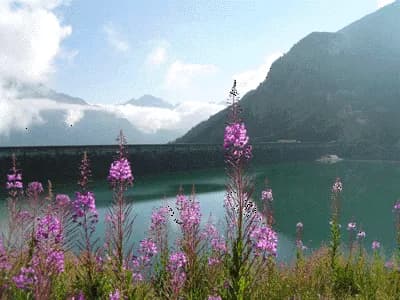 De Valmeinier 1500 au refuge des Marches par la piste forestière du Prec — photo 4