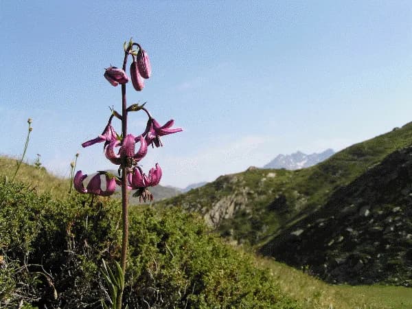 De Valmeinier 1800 au refuge des Marches par le col des Marches — photo 4