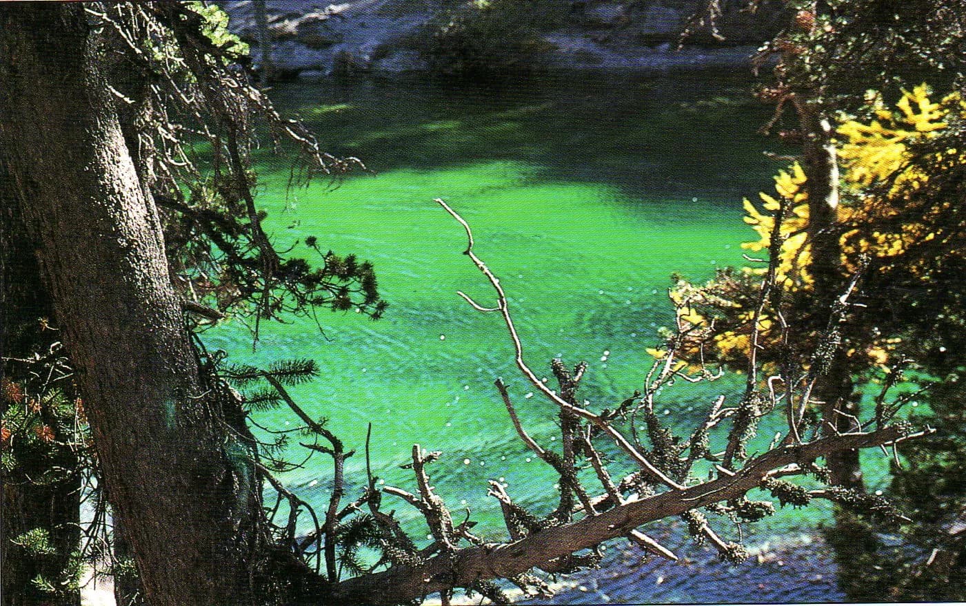 Lac Vert (1834m) — photo 2