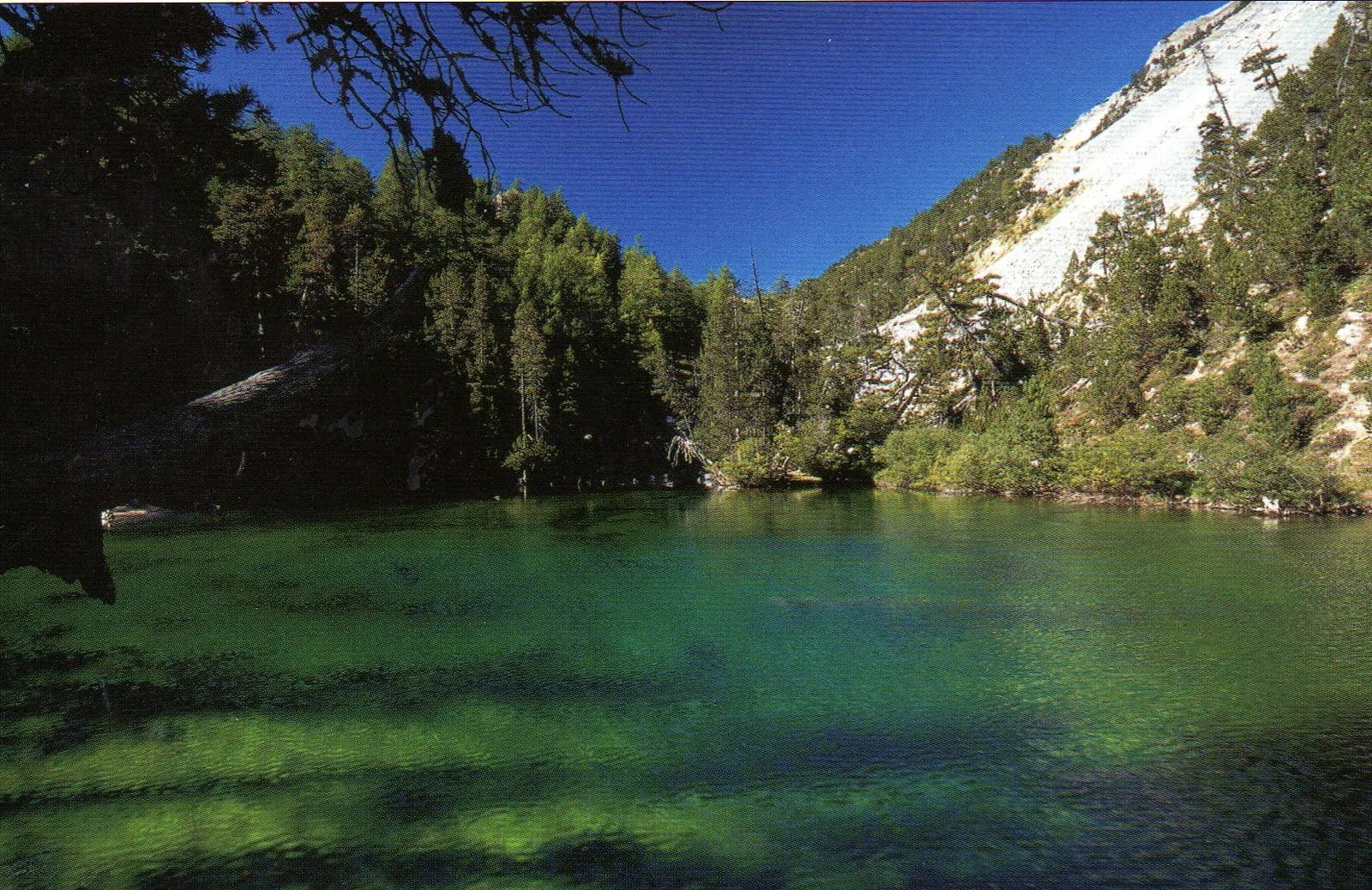 Foto dell'itinerario Lac Vert (1834m)