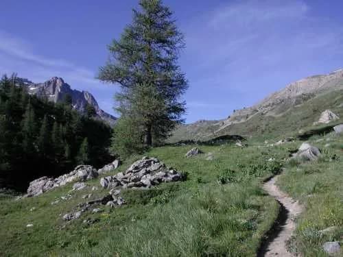 Le Grand Area (2869m) — photo 4