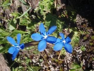 Punta 3014m — foto 2