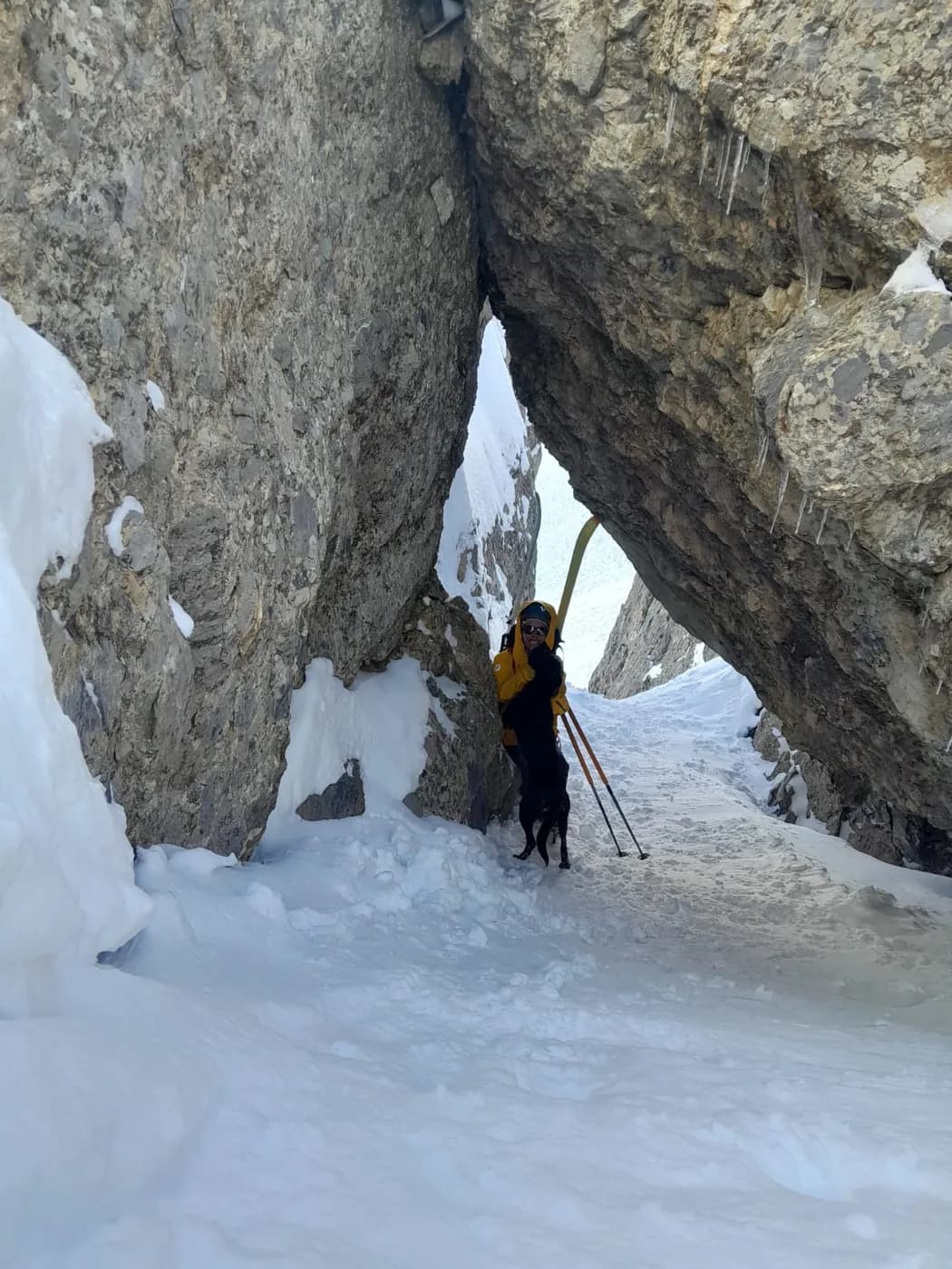 Photo of Refuge des Drayères refuge