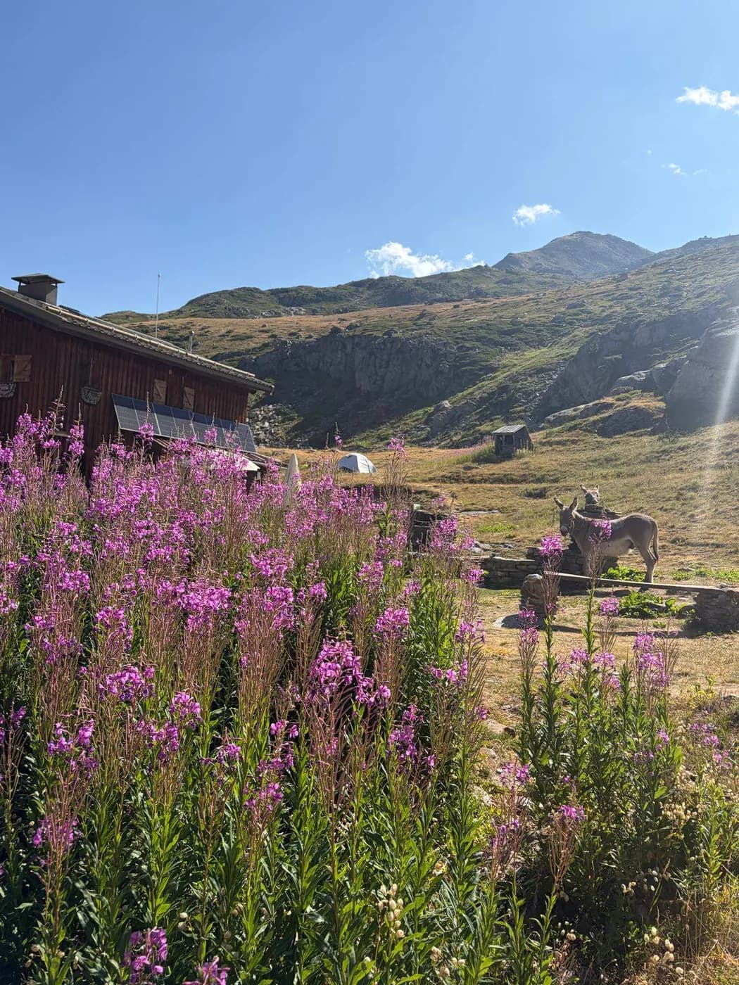Refuge des Marches, photo 3 of 20