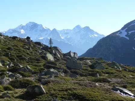 Photo du refuge Refuge des Marches