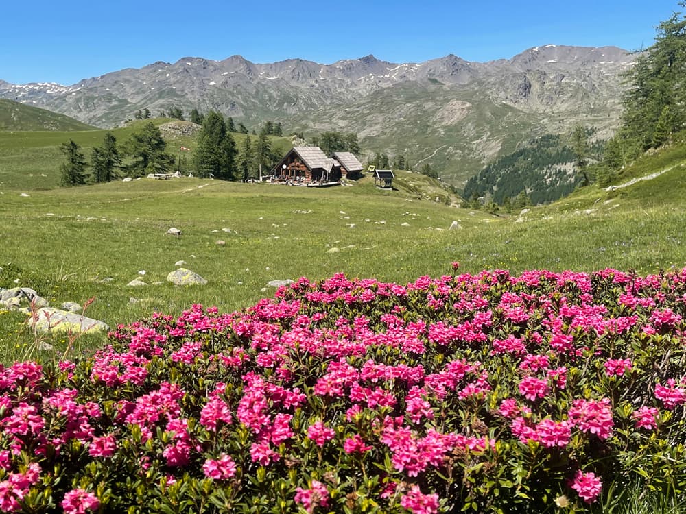 Photo of Refuge du Chardonnet refuge